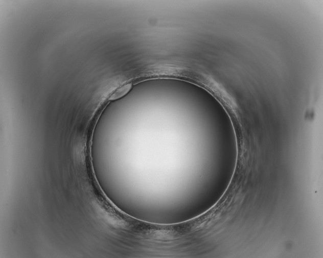 X0000091070107200708131201