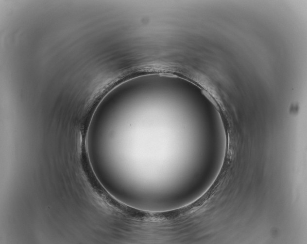 X0000091070109200708131201