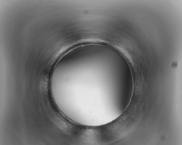 X0000091070111200708131201