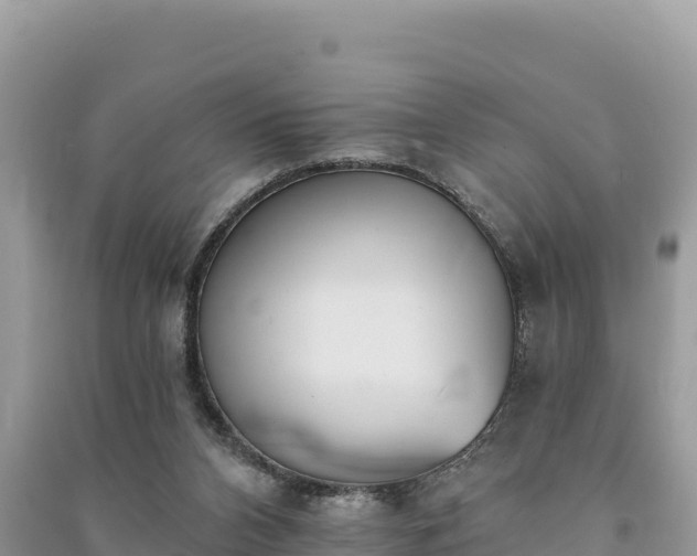 X0000091070112200708131201