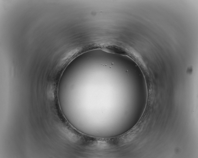 X0000091070114200708131201