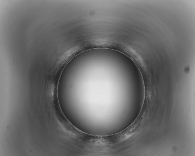 X0000091070115200708131201