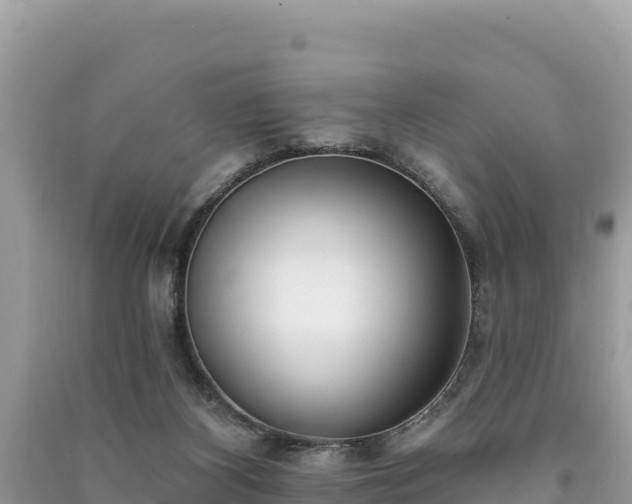 X0000091070116200708131201