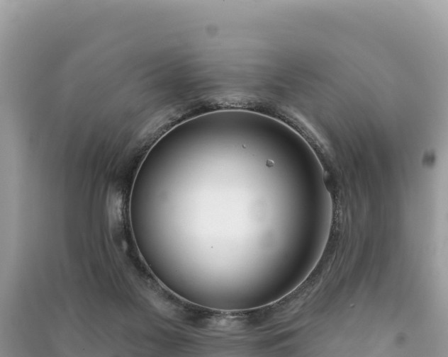 X0000091070117200708131201