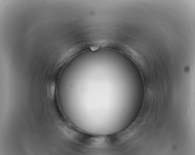 X0000091070118200708131201
