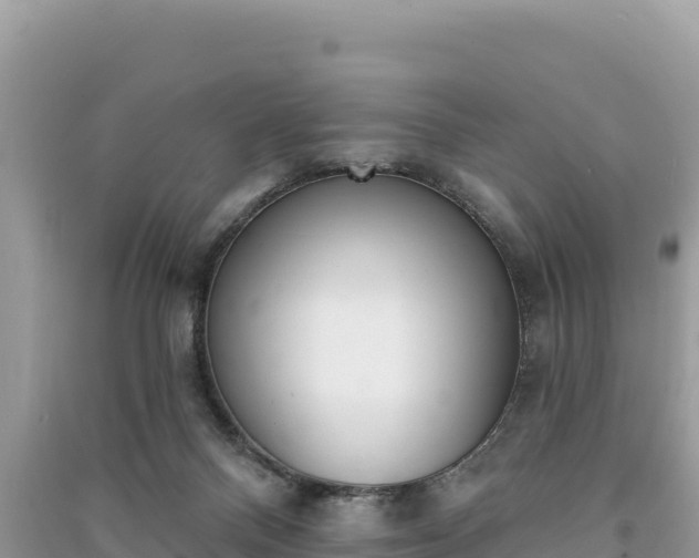 X0000091070120200708131201