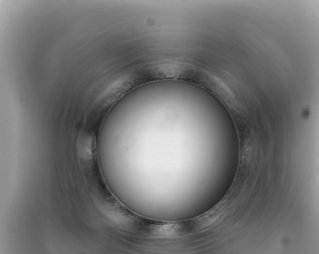 X0000091070122200708131201