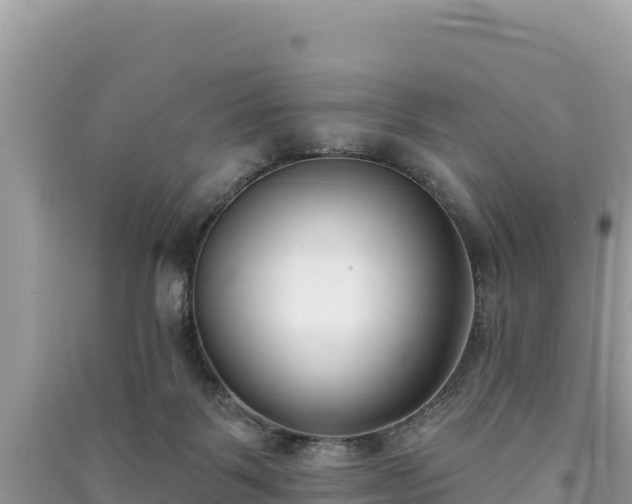 X0000091070123200708131201