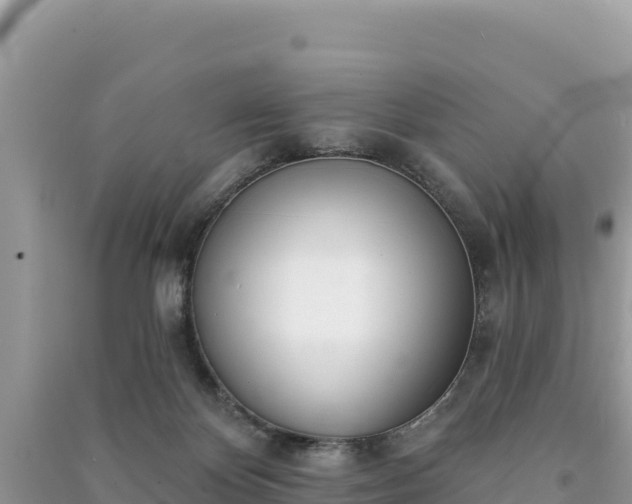 X0000091070124200708131201