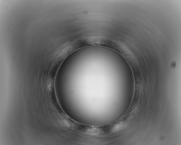 X0000091070125200708131201