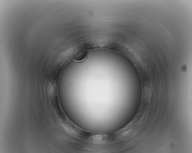 X0000091070126200708131201