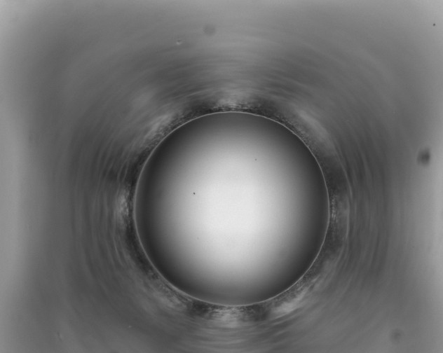 X0000091070127200708131201