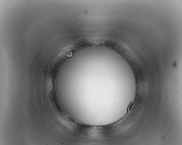 X0000091070128200708131201