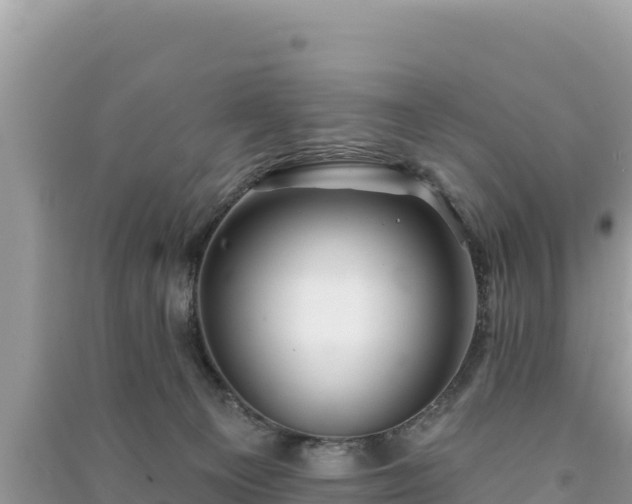 X0000091070129200708131201
