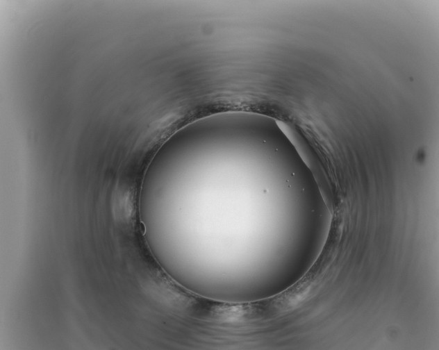 X0000091070131200708131201