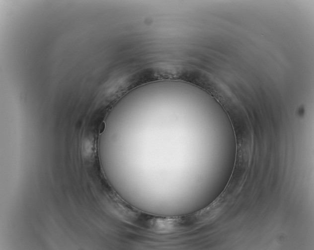 X0000091070134200708131201