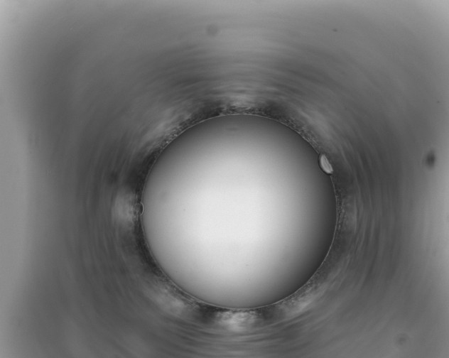 X0000091070135200708131201