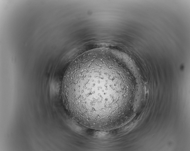 X0000091070139200708131201