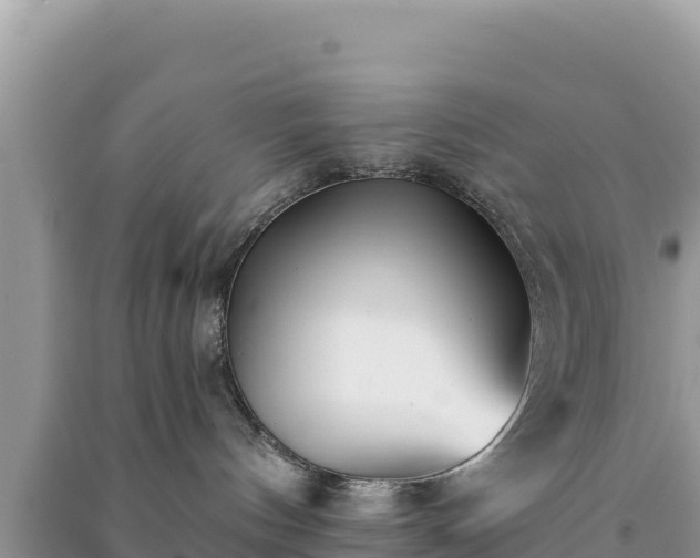 X0000091070144200708131201