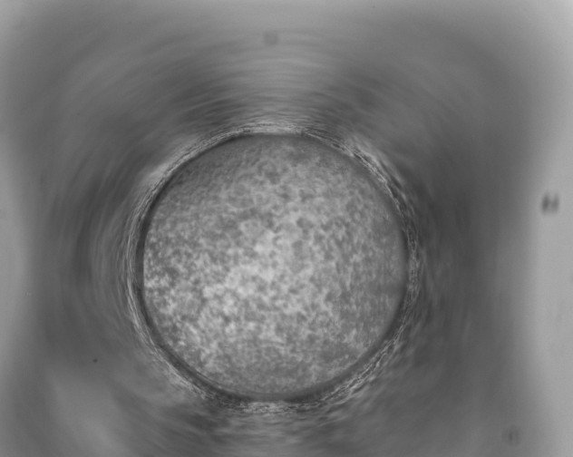 X0000091070145200708131200
