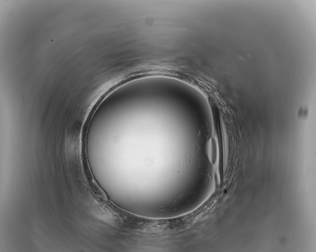 X0000091070148200708131200