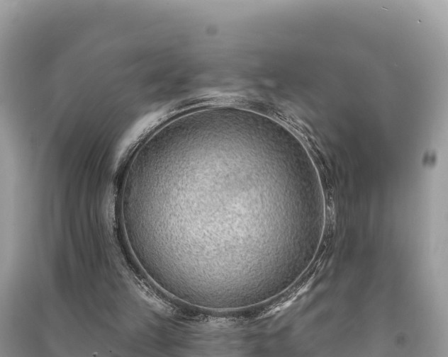 X0000091070149200708131200