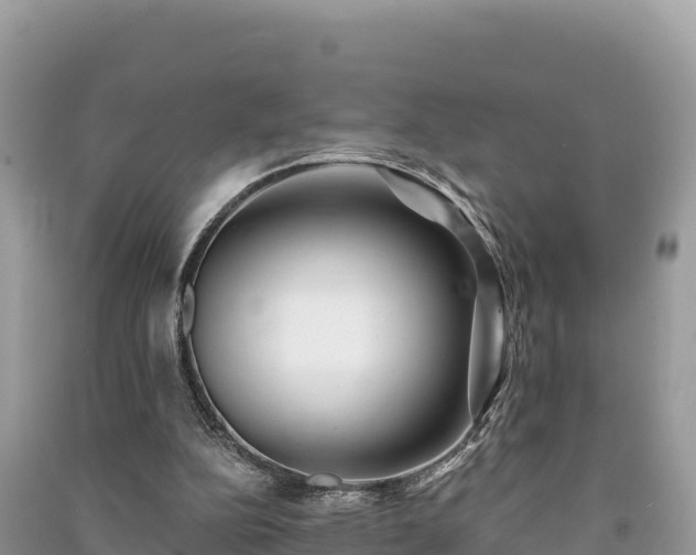 X0000091070152200708131200