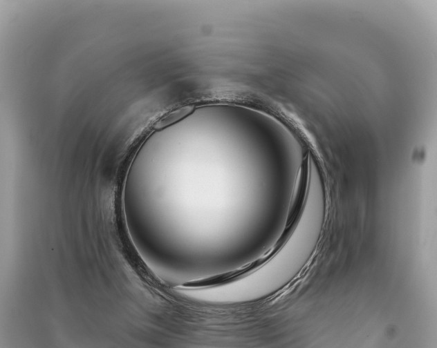 X0000091070154200708131200