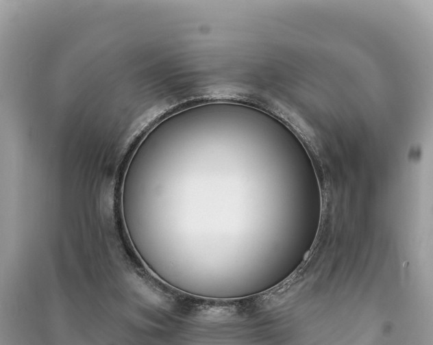 X0000091070155200708131200