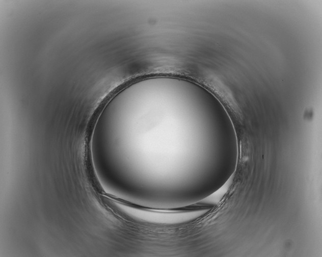 X0000091070156200708131200