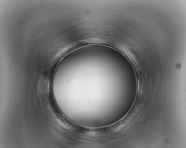 X0000091070157200708131200