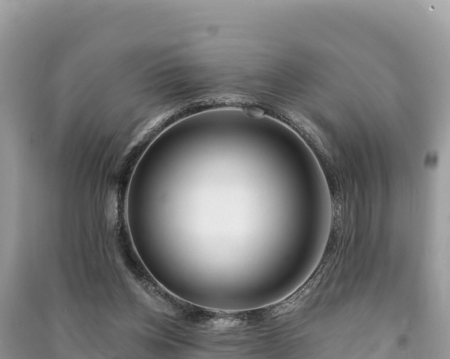 X0000091070158200708131200
