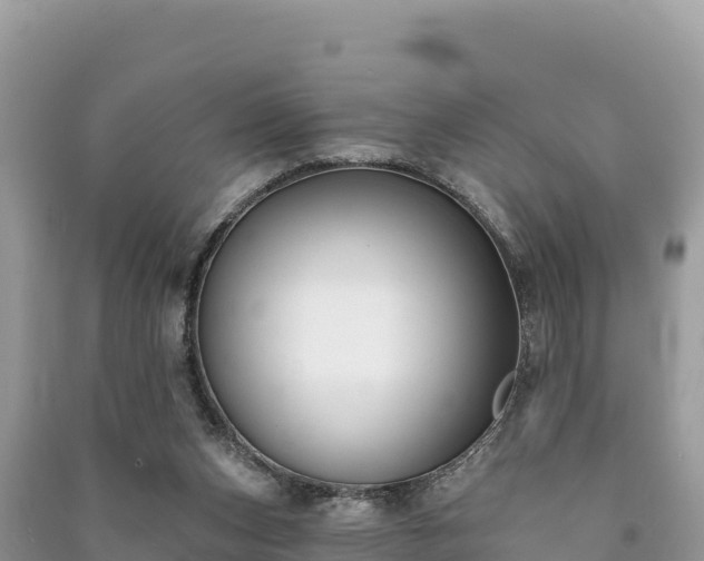 X0000091070159200708131200