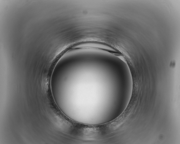 X0000091070160200708131200