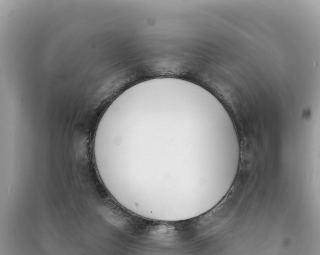 X0000091070162200708131200
