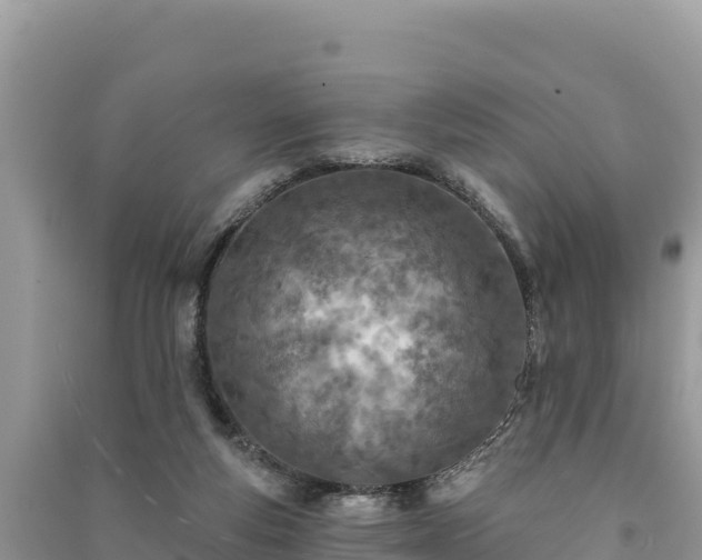 X0000091070163200708131200
