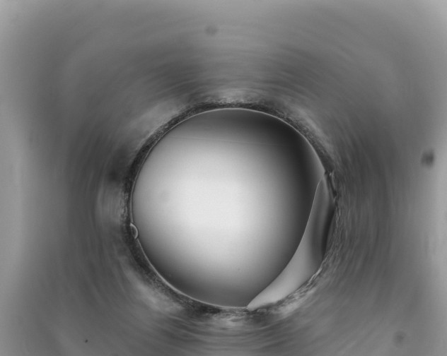 X0000091070164200708131200