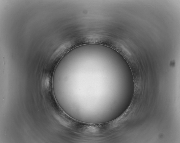 X0000091070166200708131200