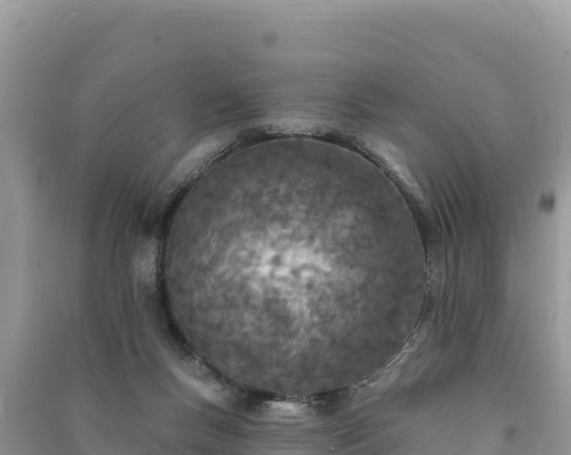 X0000091070167200708131200