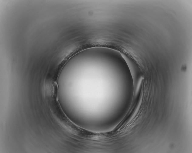 X0000091070168200708131200