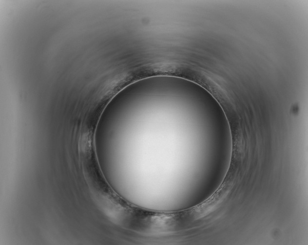 X0000091070172200708131200