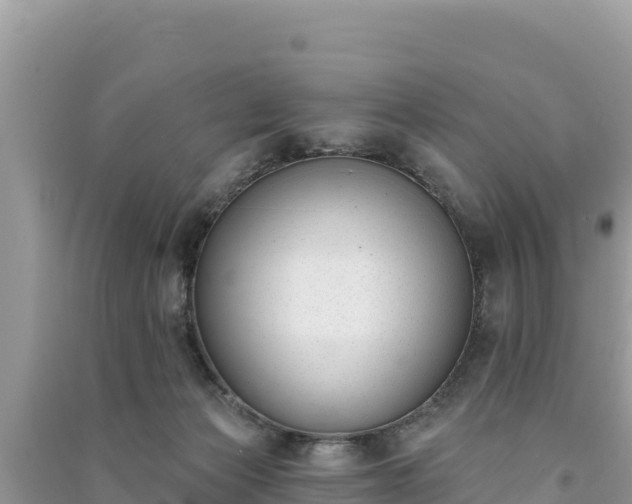 X0000091070173200708131200