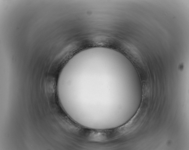 X0000091070174200708131200