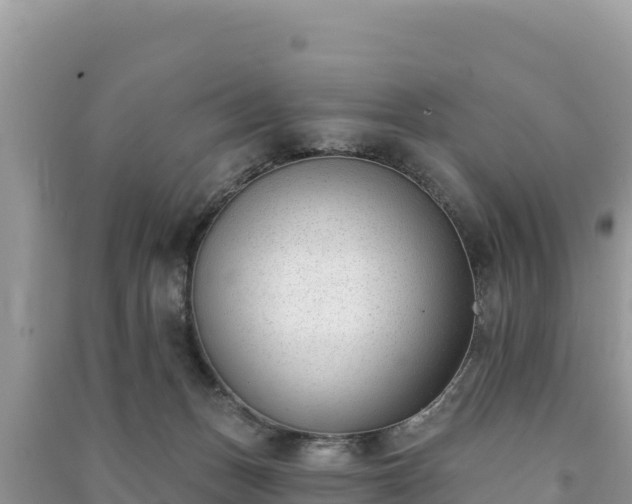 X0000091070175200708131200
