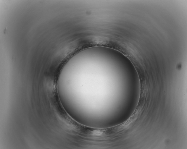 X0000091070176200708131200