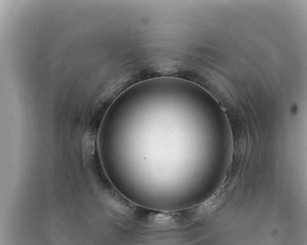 X0000091070180200708131201