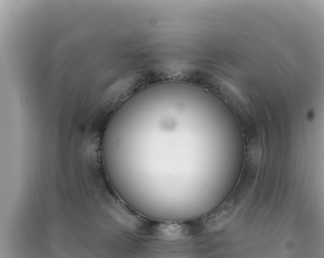 X0000091070181200708131201