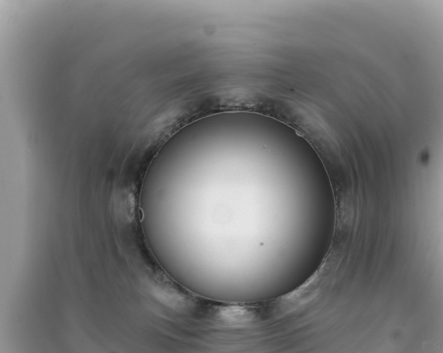 X0000091070183200708131201