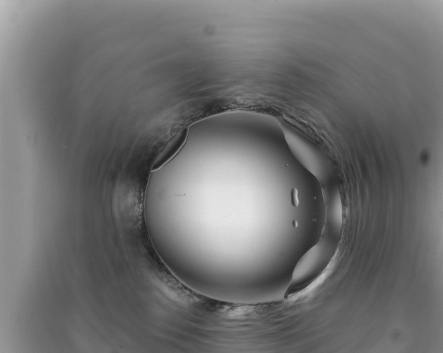 X0000091070186200708131201