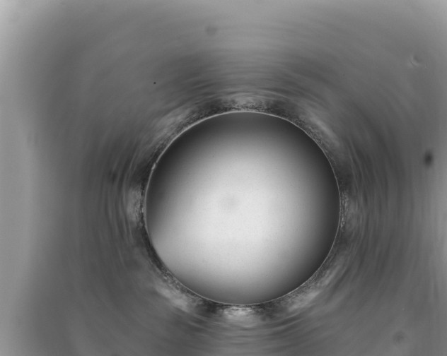 X0000091070189200708131201